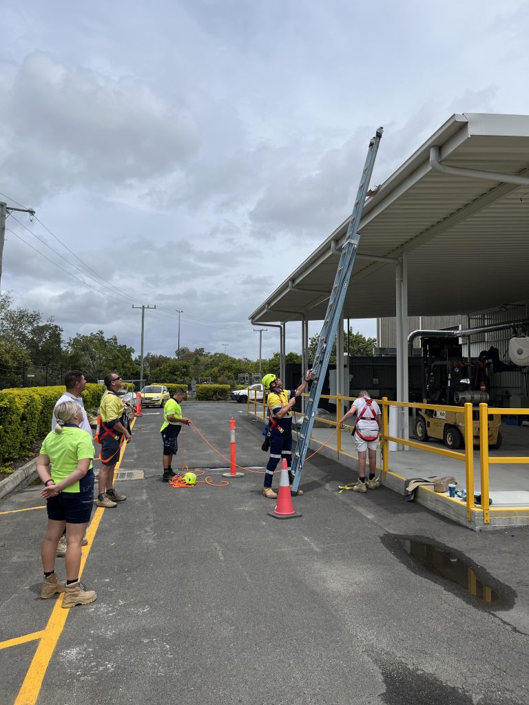 A group of workers practicing safe ladder use during a workplace training session - Work safely at heights A group of workers practicing safe ladder use during a workplace training session - Work safely at heights